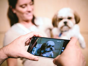 探索人工智能開(kāi)發(fā) 49個(gè)常用API與基礎(chǔ)軟件開(kāi)發(fā)指南